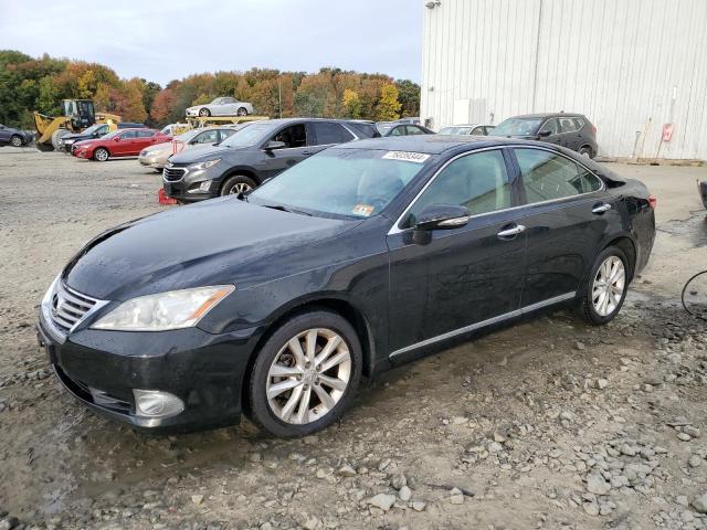 2011 Lexus Es 350