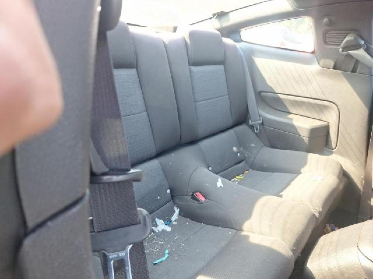 2009 Ford Mustang VIN: 1ZVHT80NX95138839 Lot: 76293544