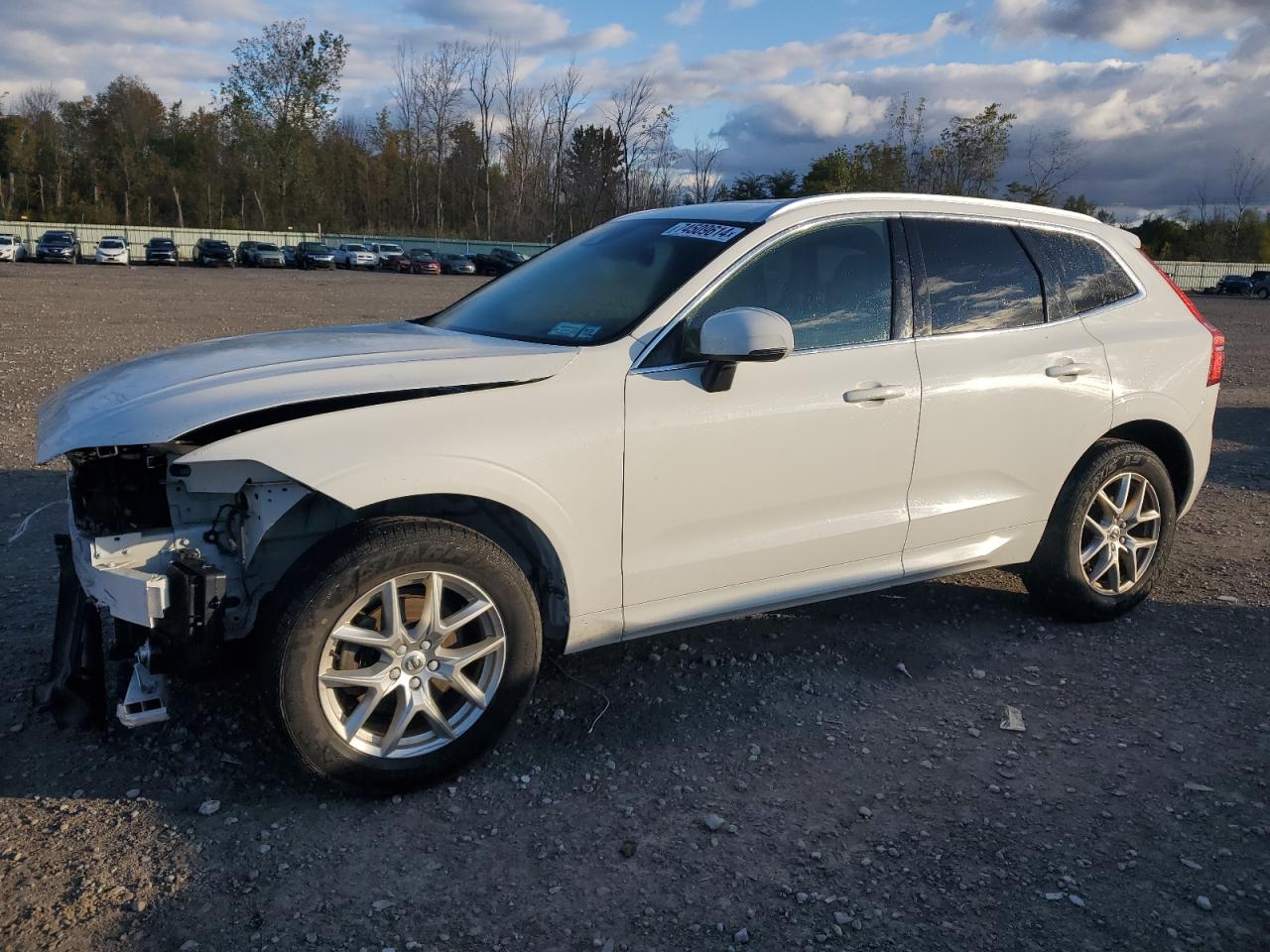 2020 Volvo XC60 - Image 1