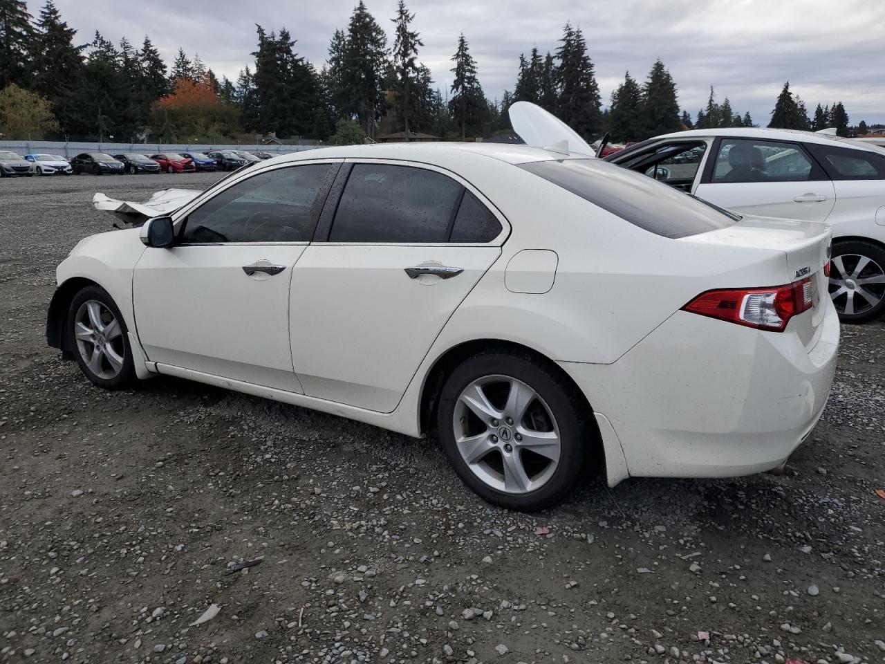2010 Acura TSX - Image 2
