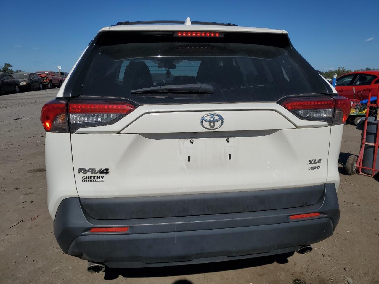 2019 Toyota Rav4 Xle VIN: JTMP1RFVXKJ004430 Lot: 75396304