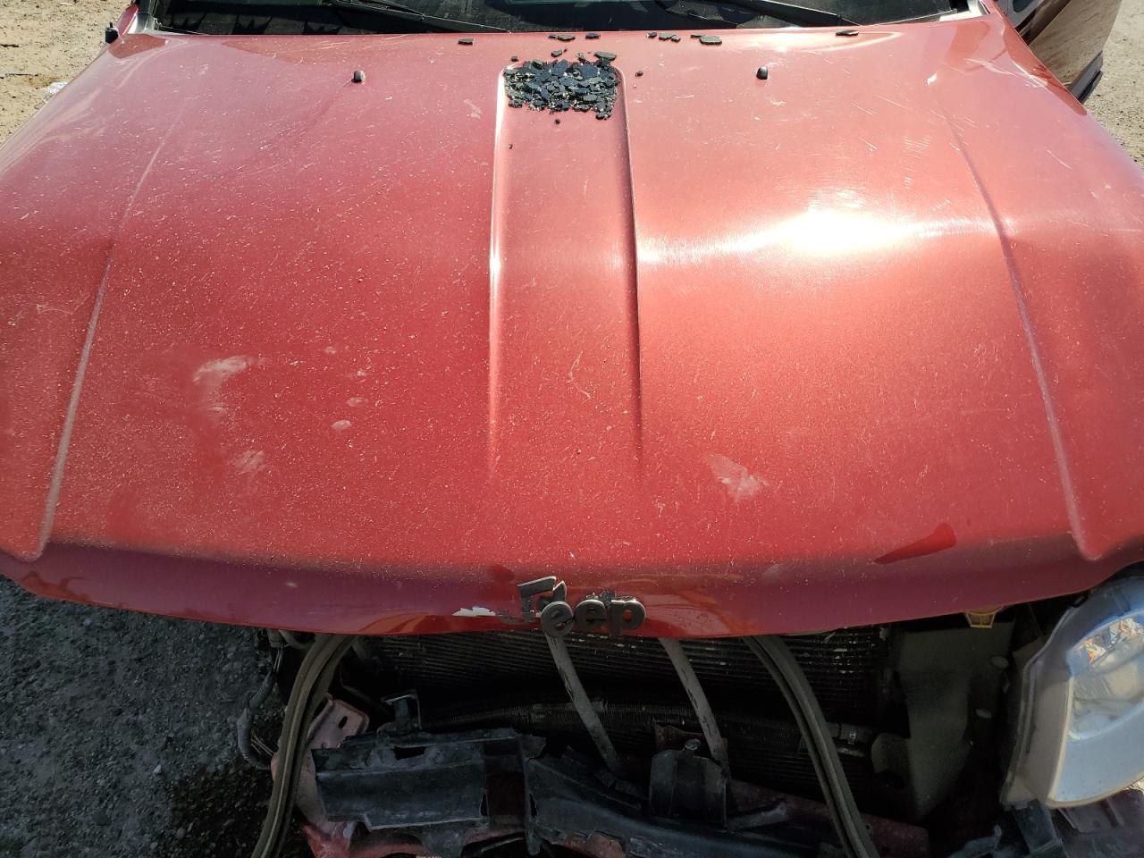 2009 Jeep Grand Cherokee Laredo VIN: 1J8GR48K89C555431 Lot: 75286534