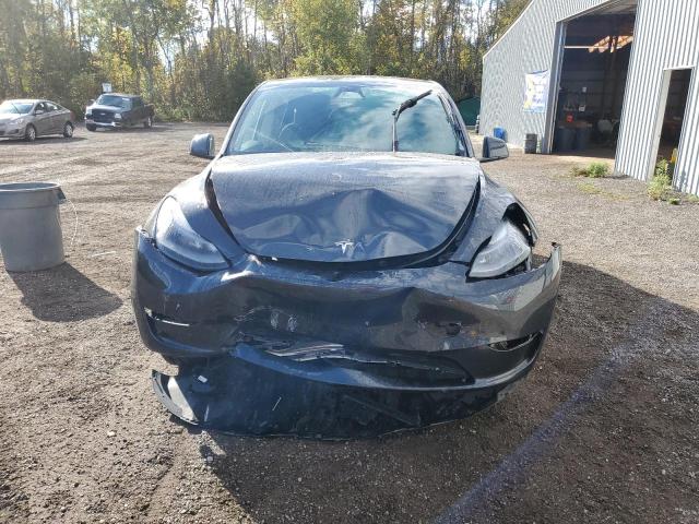  TESLA MODEL Y 2024 Серый