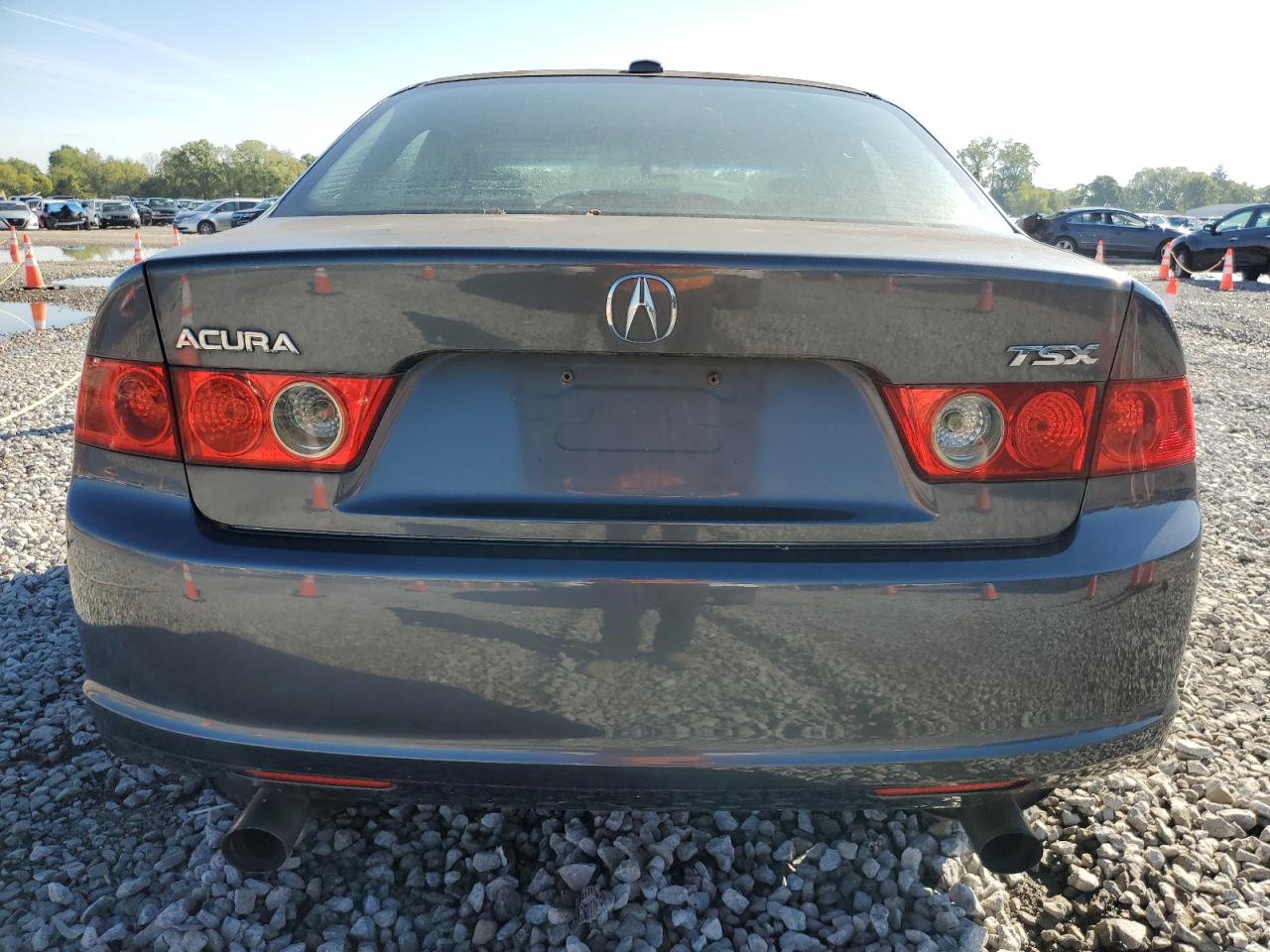 2006 Acura Tsx VIN: JH4CL96806C015562 Lot: 74379544