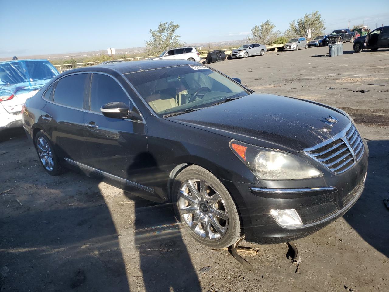 2013 Hyundai Equus - Image 4