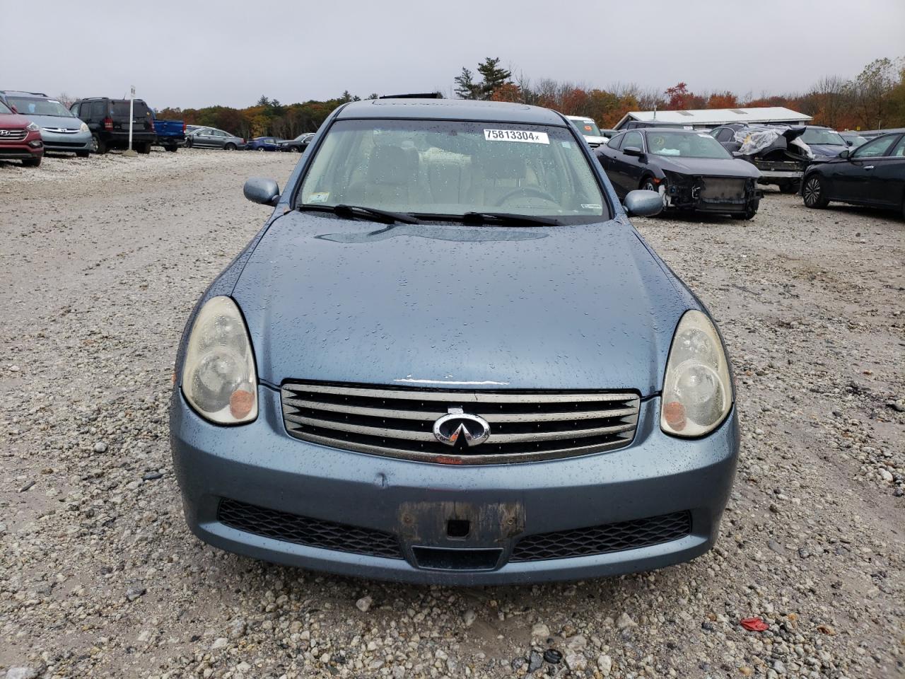 2005 Infiniti G35 VIN: JNKCV51F45M313923 Lot: 75813304