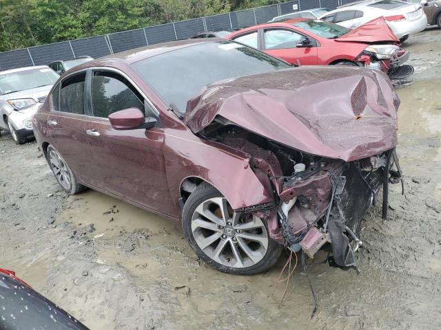 Sedans HONDA ACCORD 2013 Burgundy