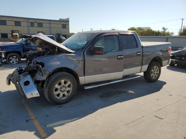 Pickups FORD F-150 2013 Szary