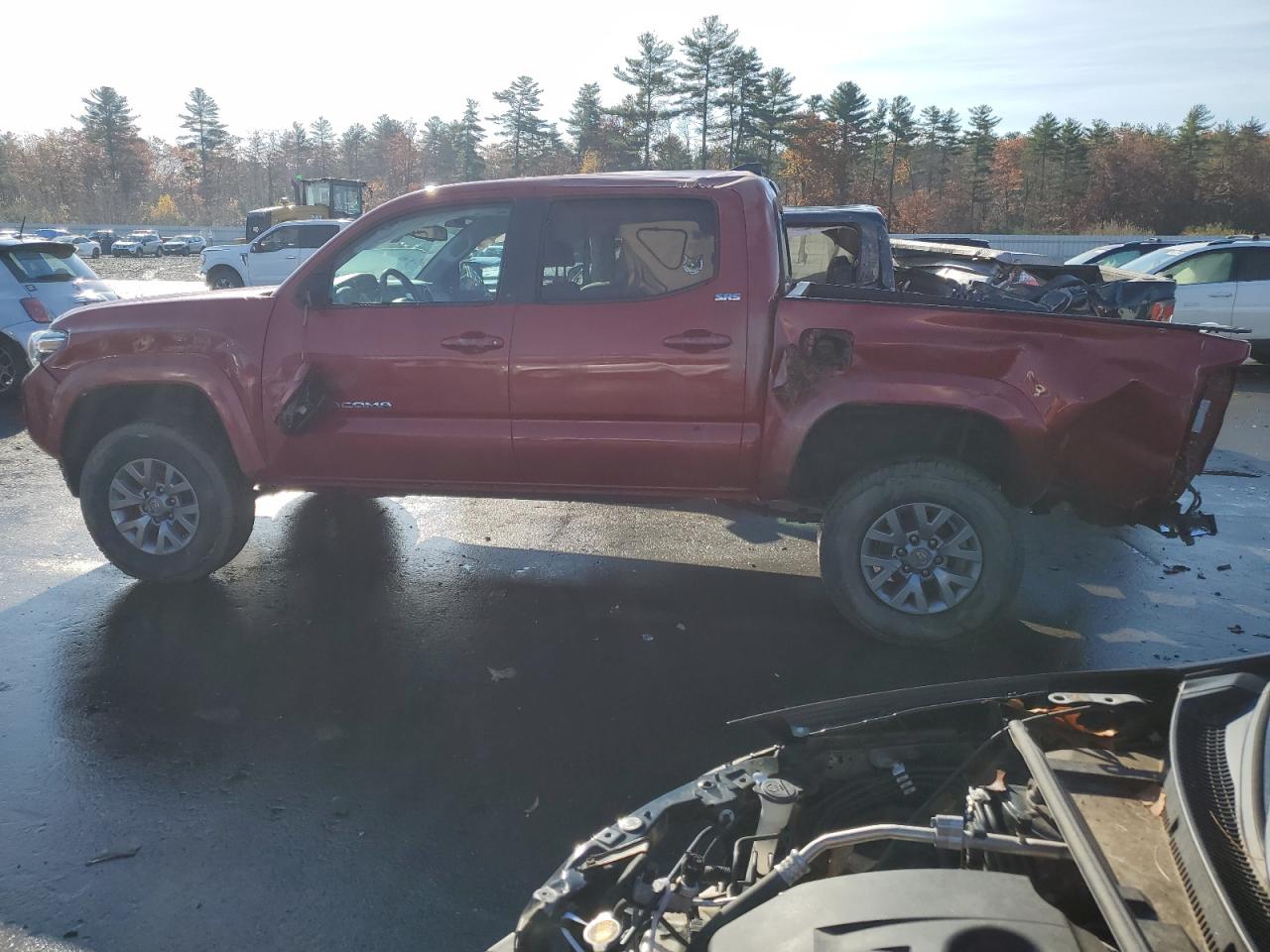 2019 Toyota Tacoma - Image 2