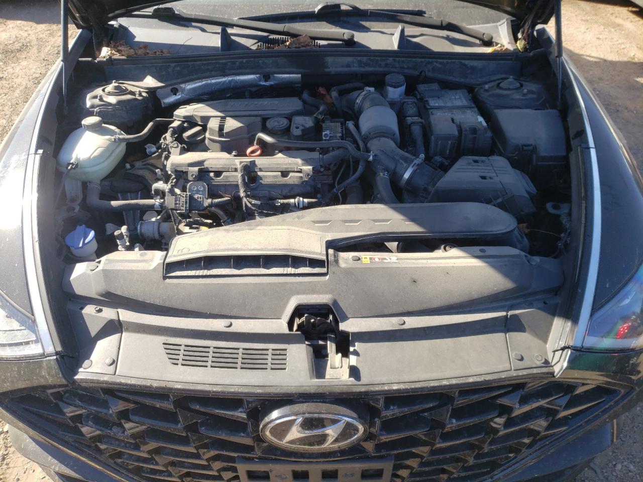 2020 Hyundai Sonata Sel Plus VIN: 5NPEJ4J23LH029848 Lot: 76266264