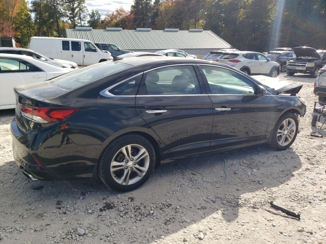 5NPE34AF8KH732910 2019 Hyundai Sonata Limited