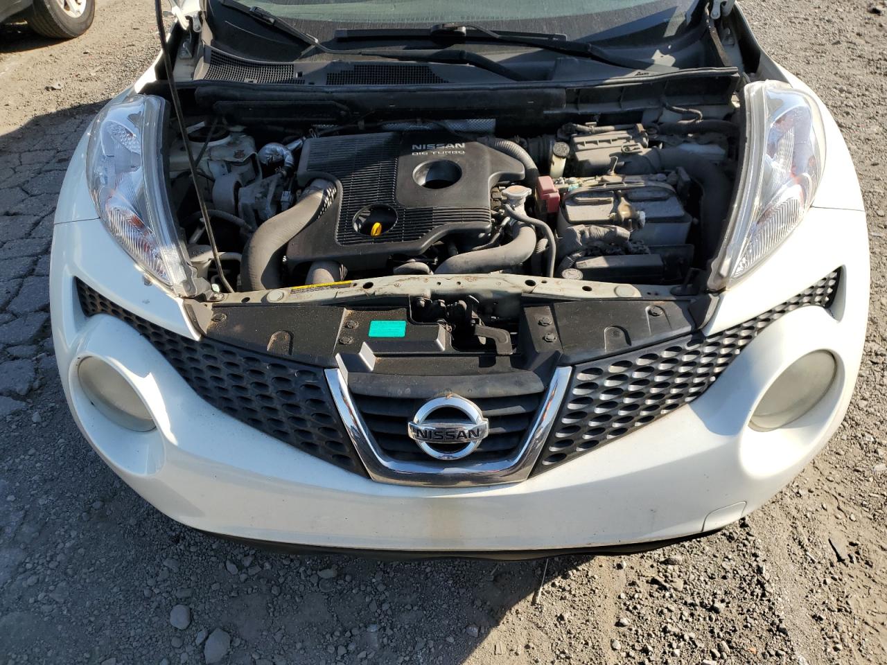 2013 Nissan Juke S VIN: JN8AF5MVXDT207624 Lot: 75184414