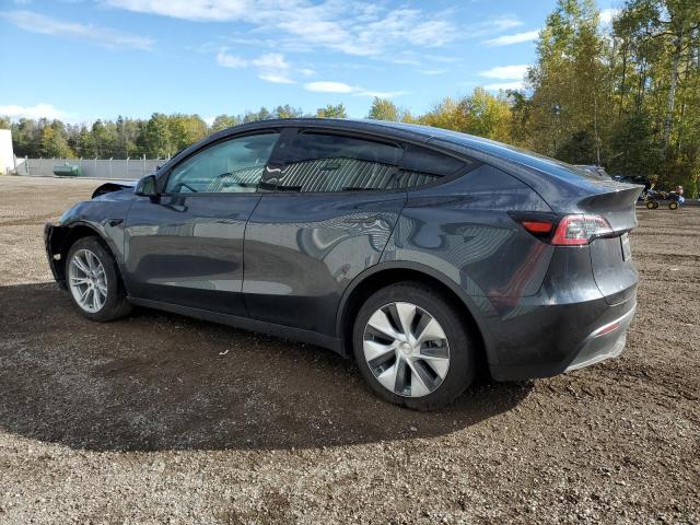  TESLA MODEL Y 2024 Серый