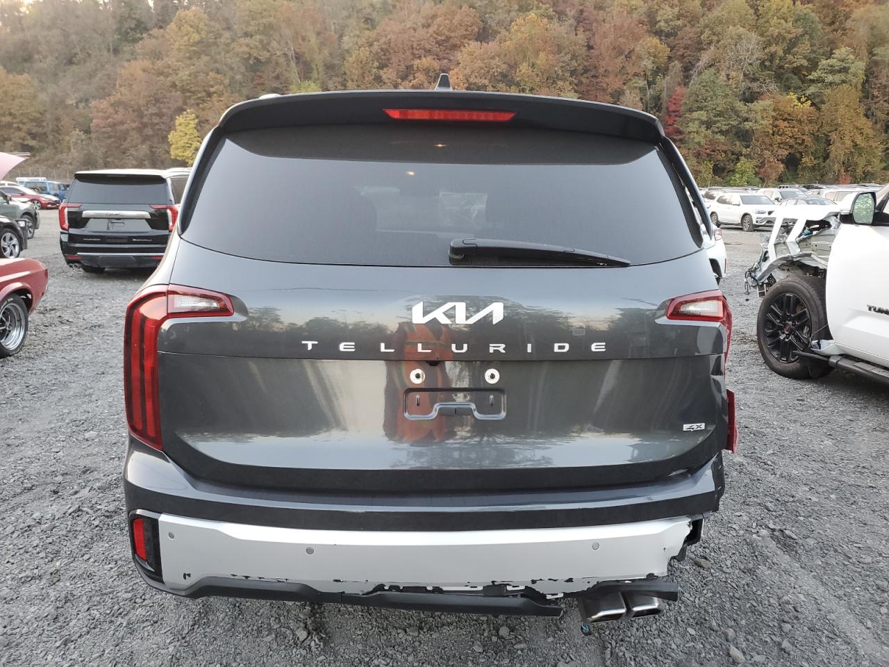 2024 Kia Telluride S VIN: 5XYP6DGC4RG520892 Lot: 76866574