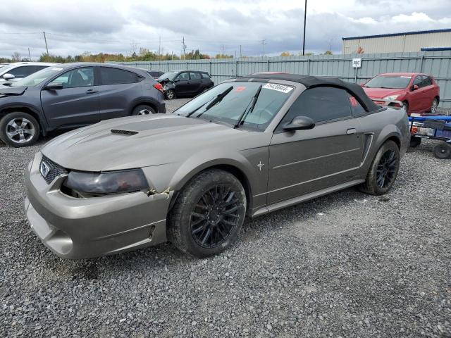 2002 Ford Mustang 