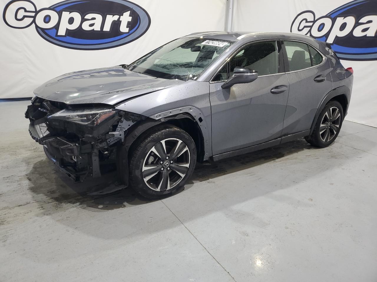 2020 Lexus UX - Image 1