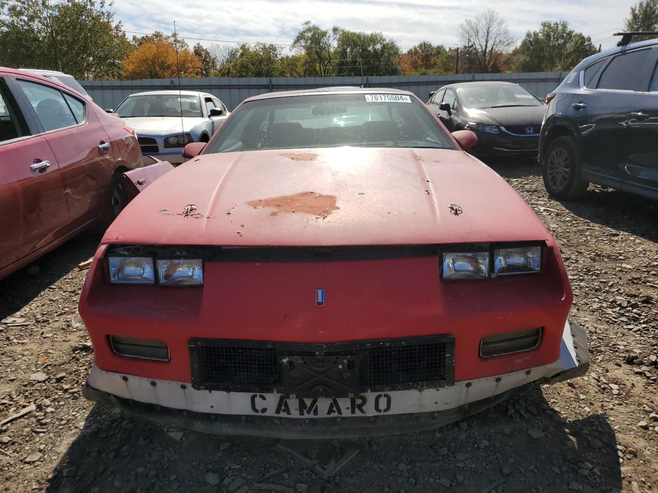 1991 Chevrolet Camaro Rs VIN: 1G1FP23T5ML107615 Lot: 76175504