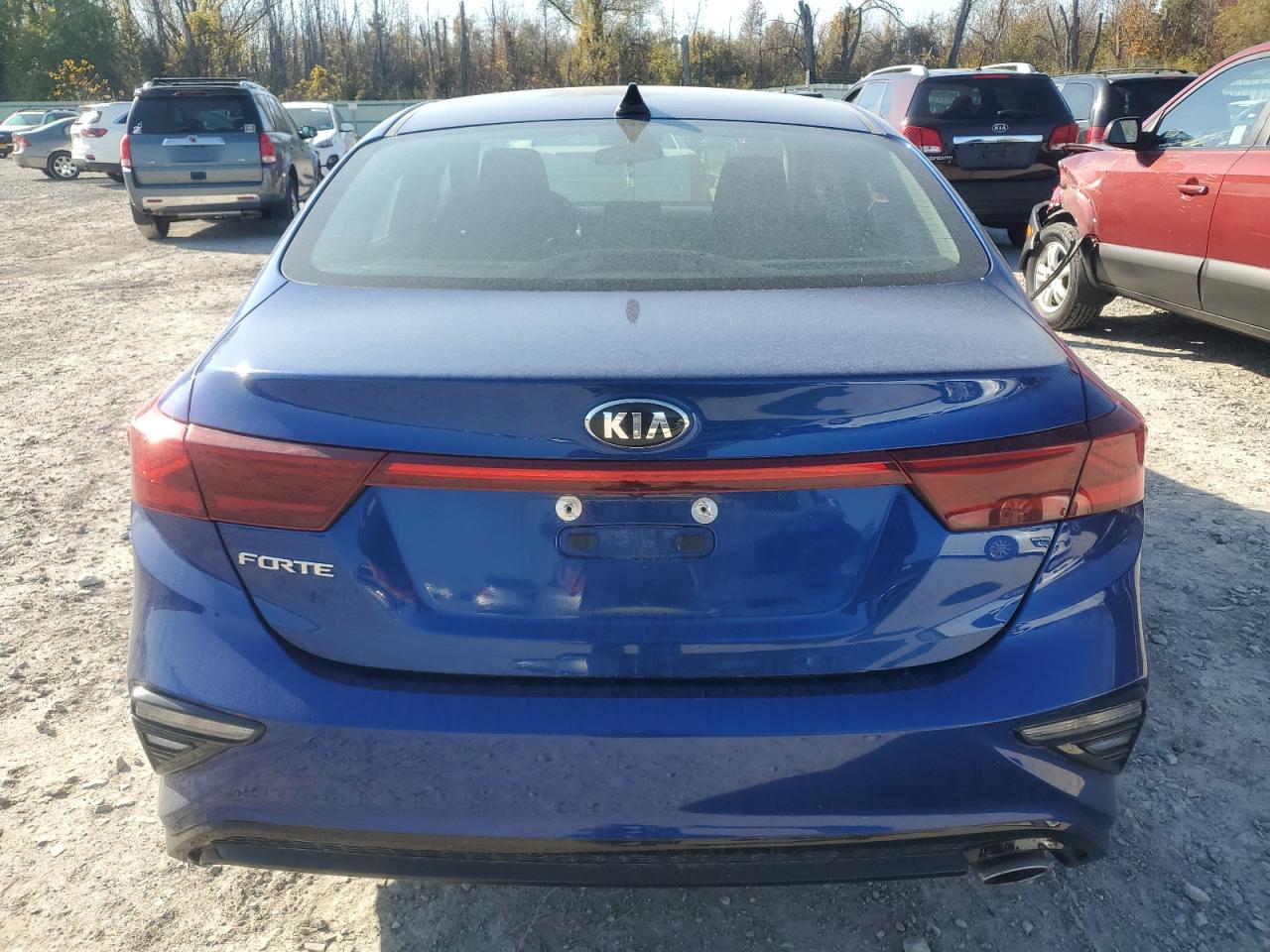 2019 Kia Forte Fe VIN: 3KPF24AD1KE123409 Lot: 76790524