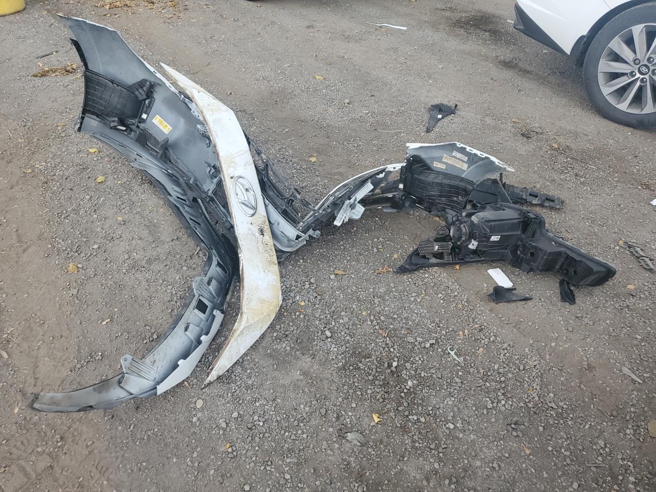 2021 Hyundai Elantra Sel VIN: KMHLN4AG3MU166590 Lot: 77398864