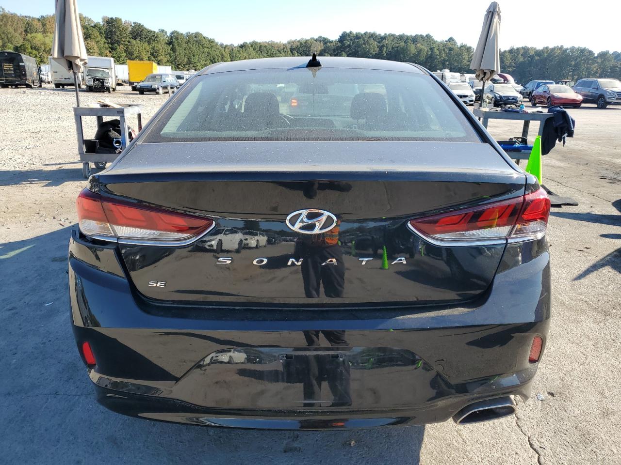 2019 Hyundai Sonata Se VIN: 5NPE24AF4KH817794 Lot: 77716704