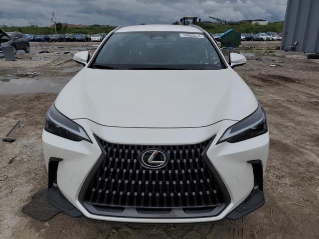 JTJADCAZ5R2011145 Lexus NX 250 Bas 5