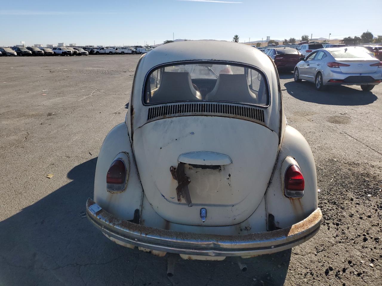 1190494912 1969 Volkswagen Beetle