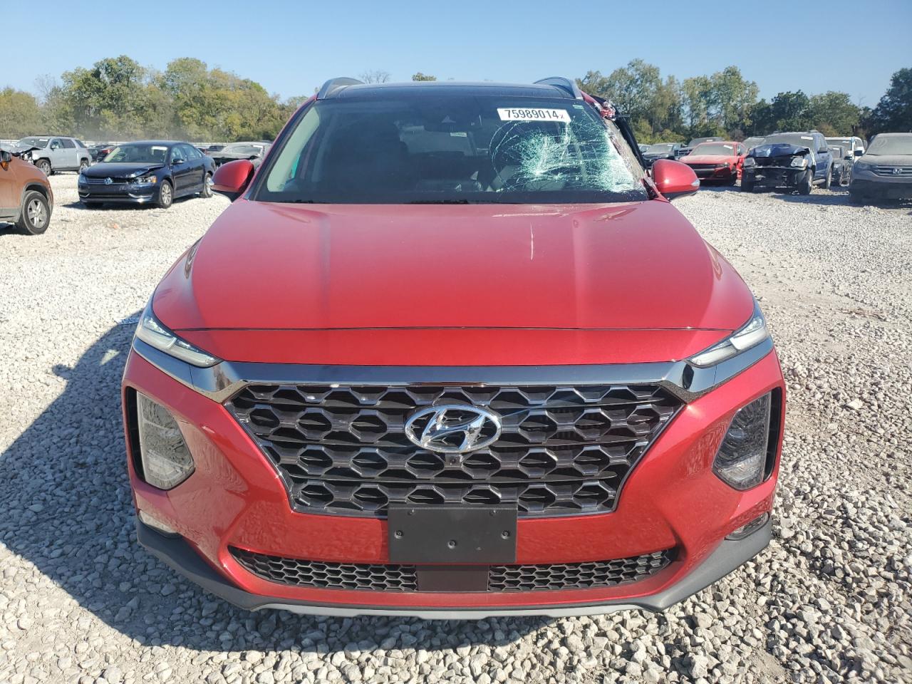 2020 Hyundai Santa Fe Limited VIN: 5NMS5CAA3LH281217 Lot: 75989014