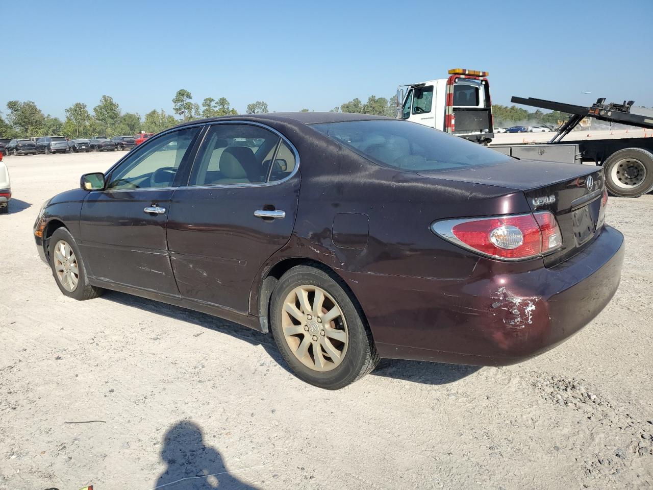 2004 Lexus ES - Image 2