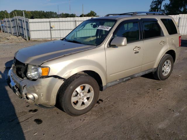 2011 Ford Escape Limited