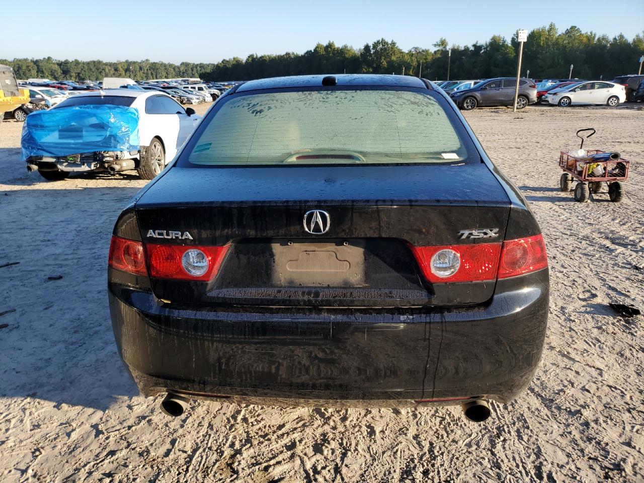 2005 Acura Tsx VIN: JH4CL96985C000525 Lot: 72497114