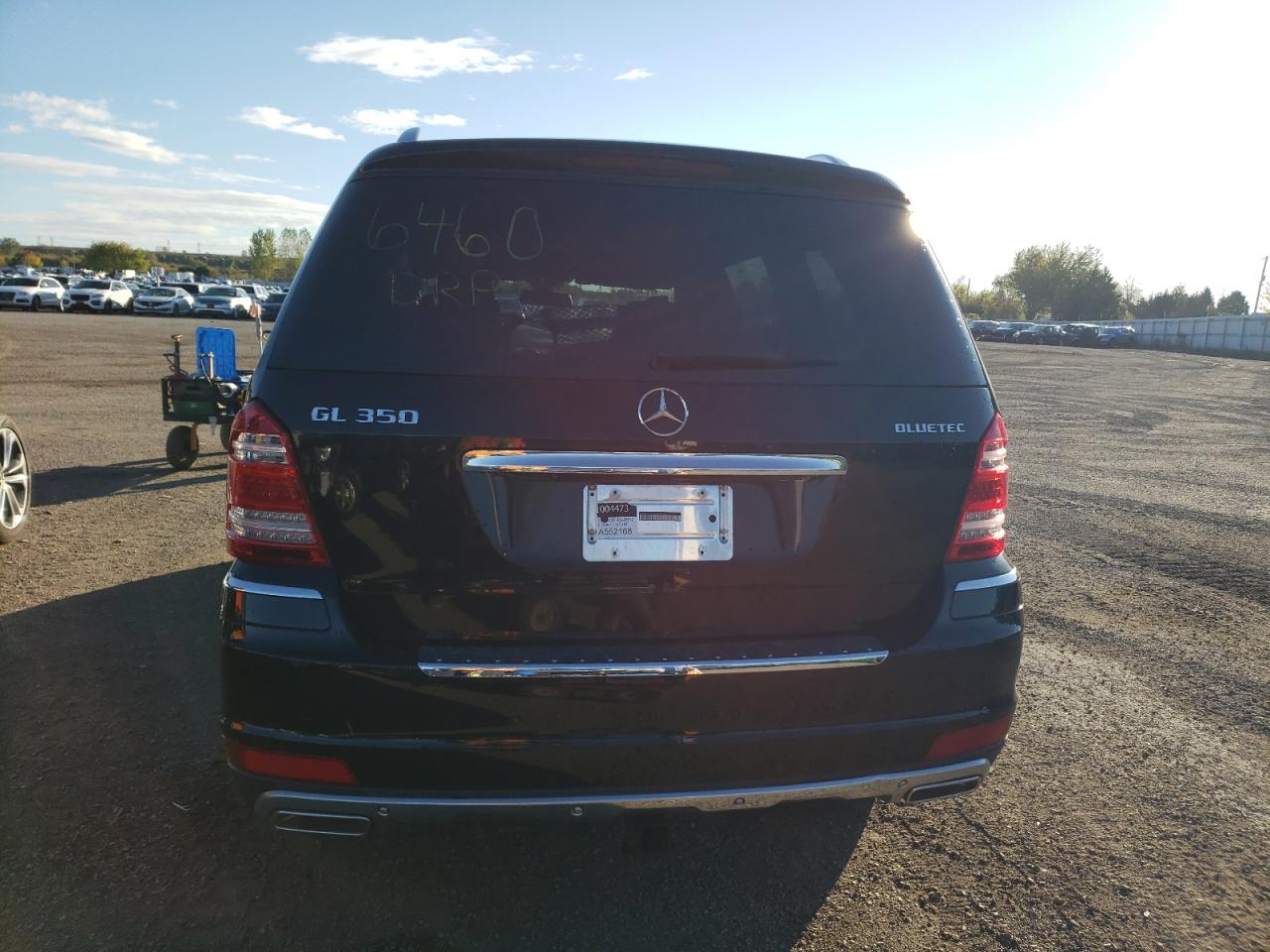 2010 Mercedes-Benz Gl 350 Bluetec VIN: 4JGBF2FE0AA562168 Lot: 75020964