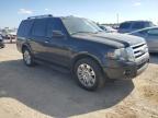 2014 Ford Expedition Limited продається в Temple, TX - Hail