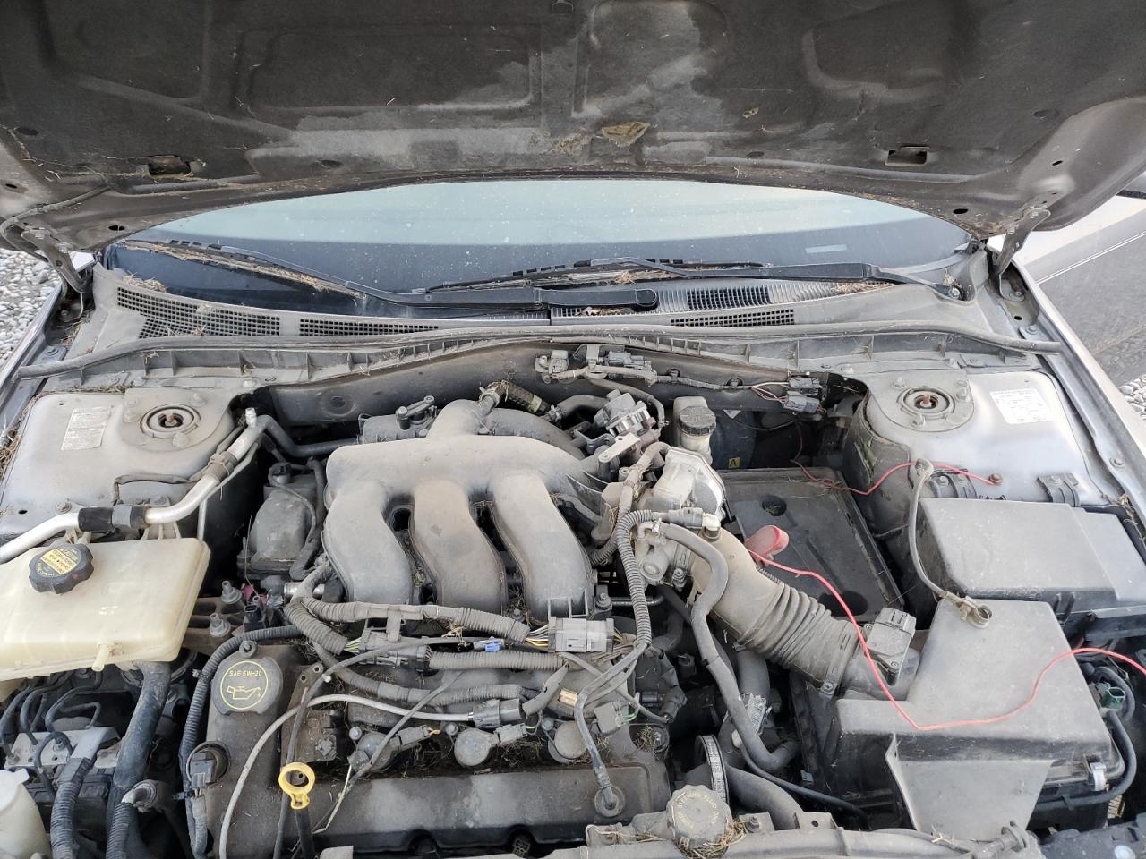 2007 Mazda 6 S VIN: 1YVHP80D775M55211 Lot: 77844624