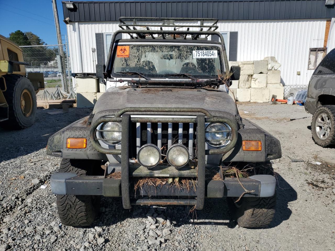 2002 Jeep Wrangler / Tj X VIN: 1J4FA39S52P743626 Lot: 75184054