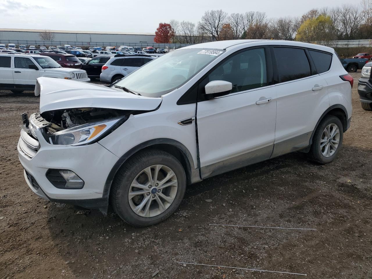 2019 Ford Escape - Image 1