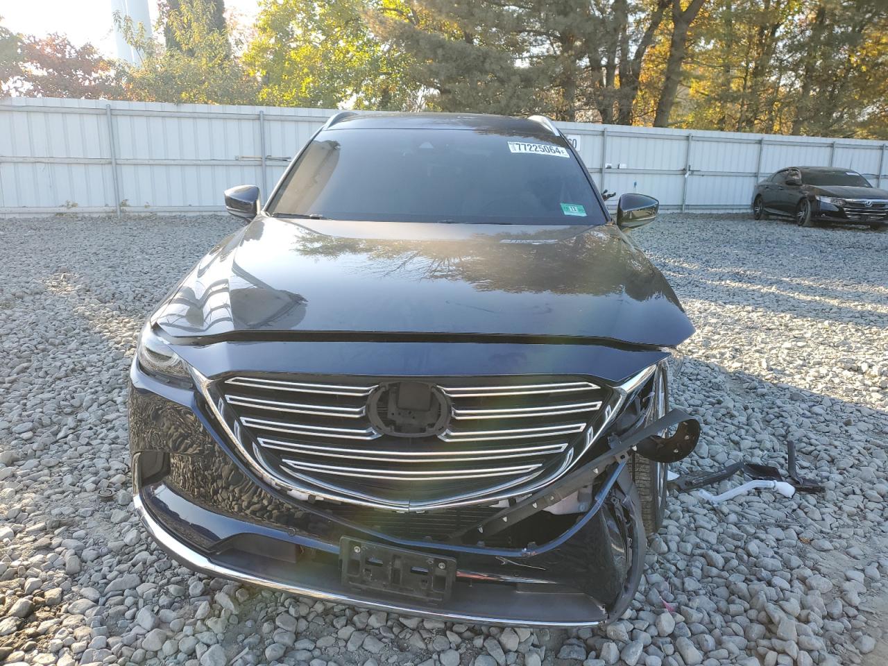 2018 Mazda Cx-9 Grand Touring VIN: JM3TCBDY9J0233884 Lot: 77225064