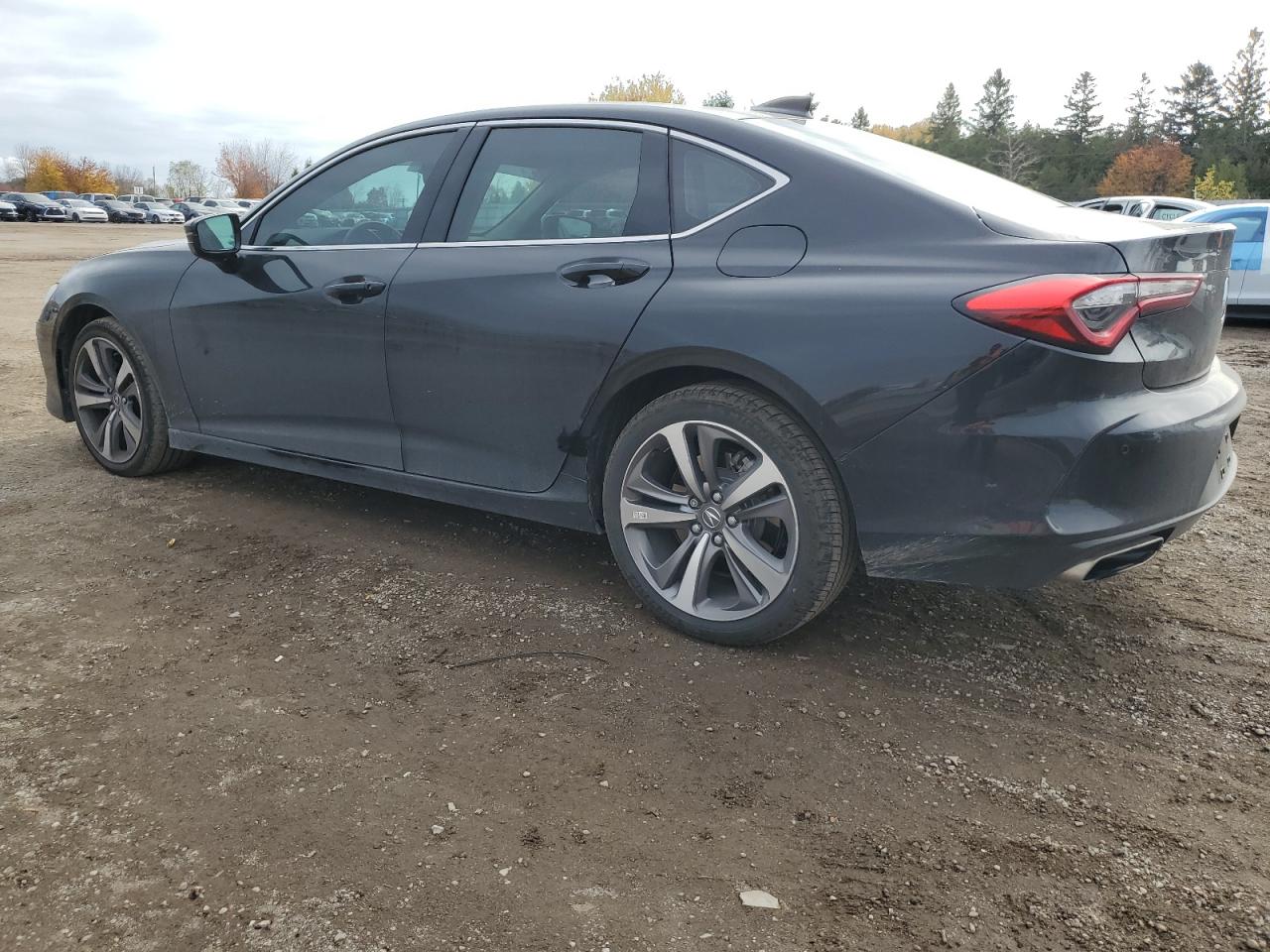 2023 Acura Tlx Platinum Elite VIN: 19UUB6F98PA800393 Lot: 79027184