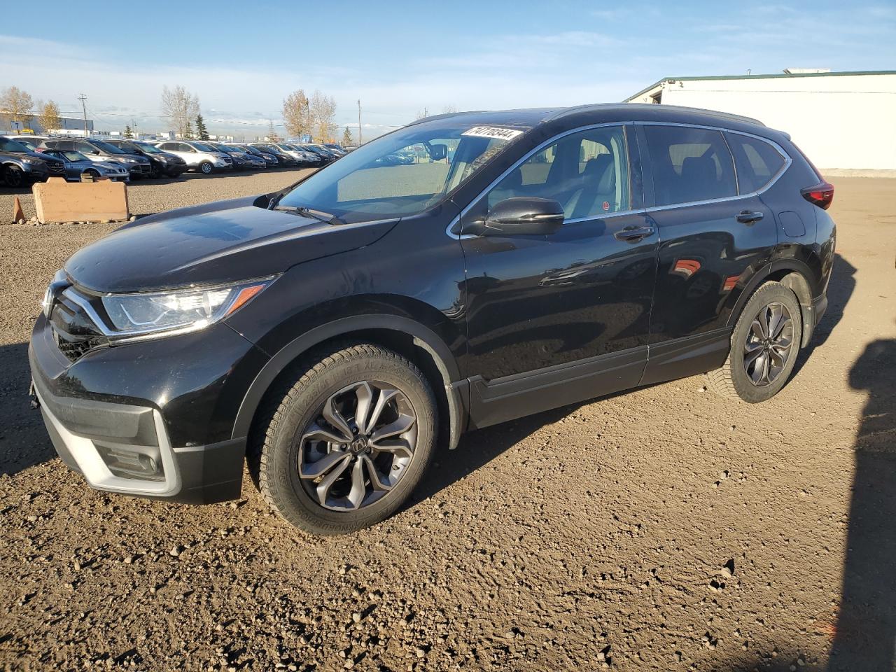 2020 Honda Cr-V Exl VIN: 2HKRW2H89LH225391 Lot: 74770344