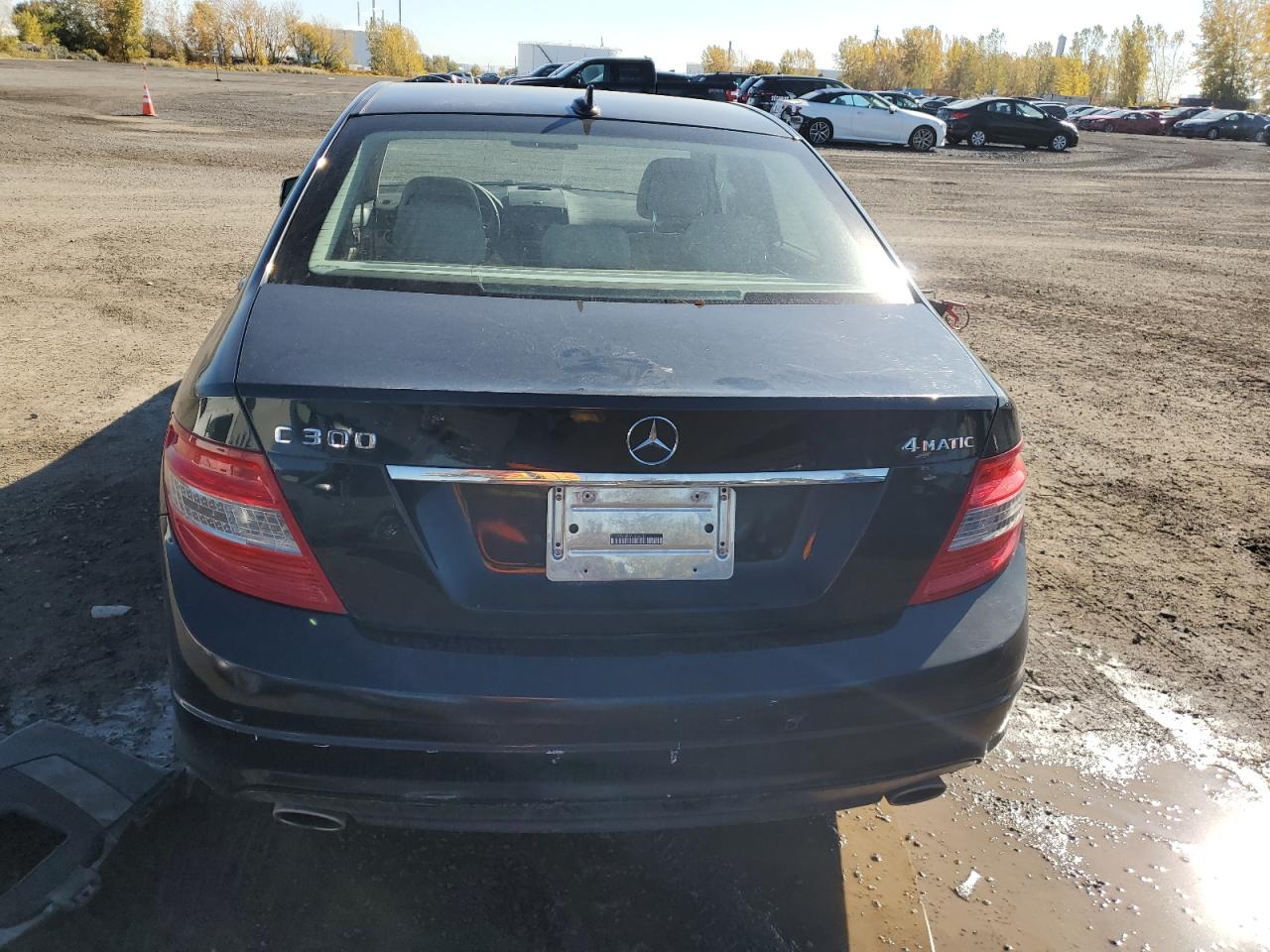 2010 Mercedes-Benz C 300 4Matic VIN: WDDGF8BBXAF456232 Lot: 76599484