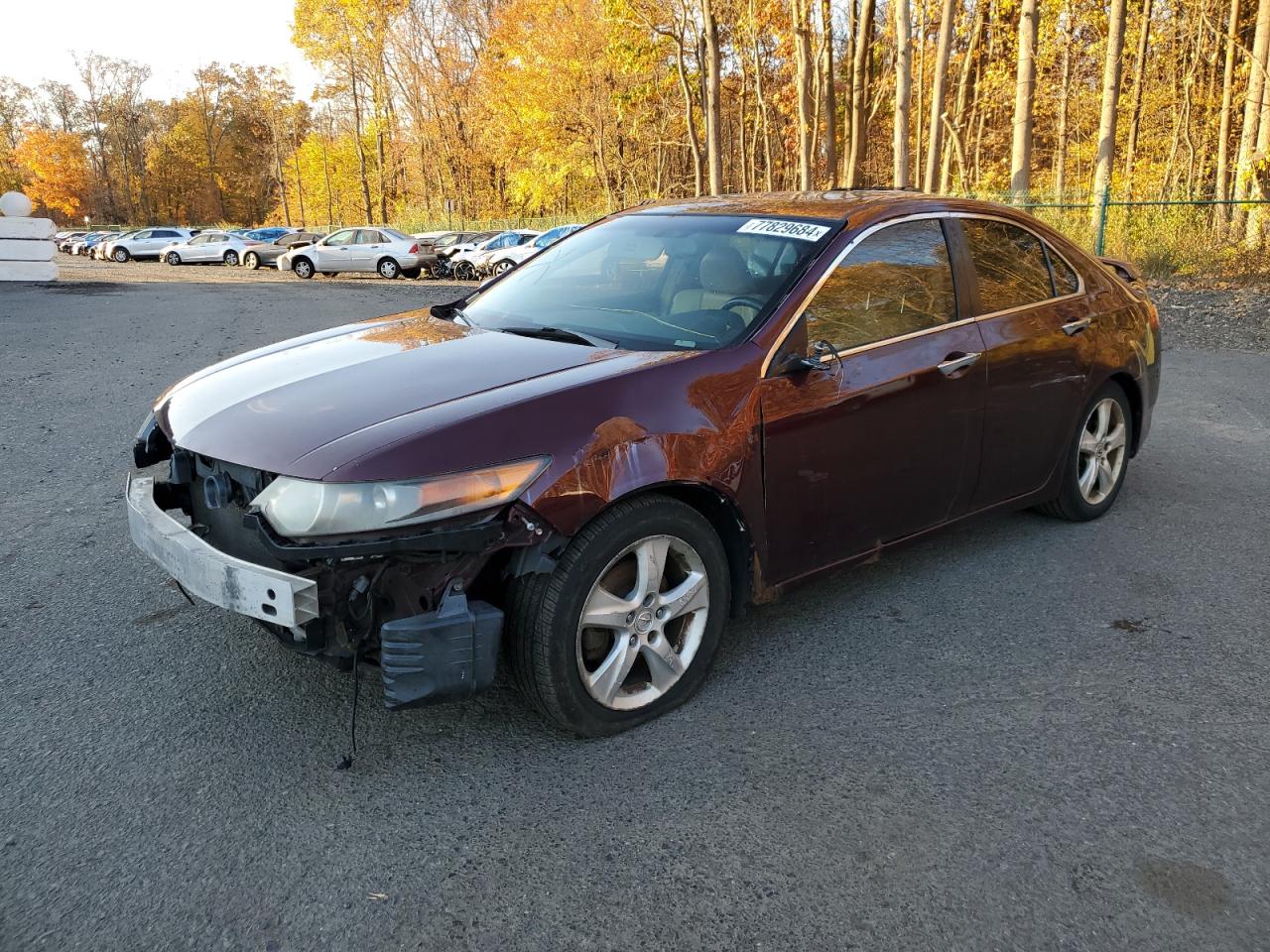 2010 Acura TSX - Image 1