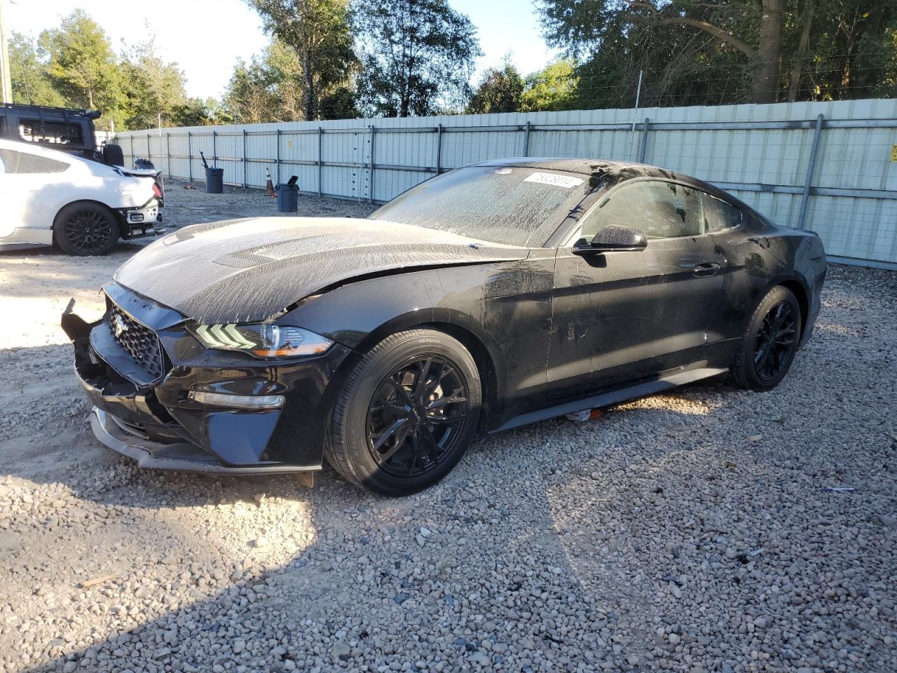 2019 Ford Mustang VIN: 1FA6P8TH9K5180435 Lot: 75328014