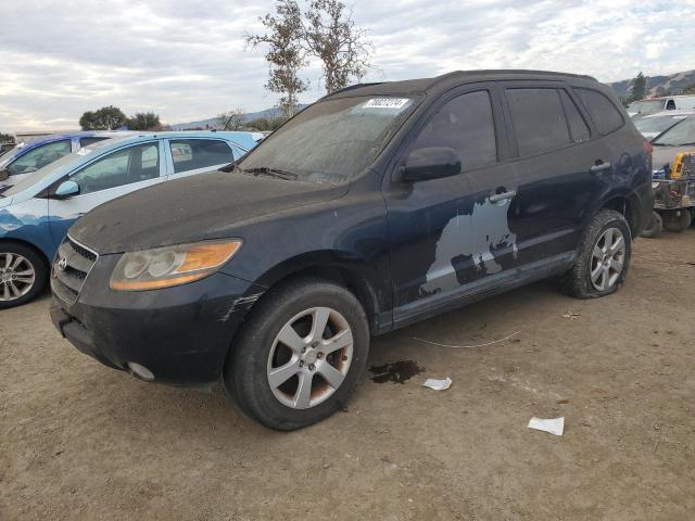 2009 Hyundai Santa Fe Se