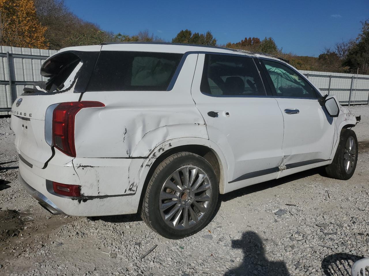 2020 Hyundai Palisade Limited VIN: KM8R54HE5LU047453 Lot: 77847674