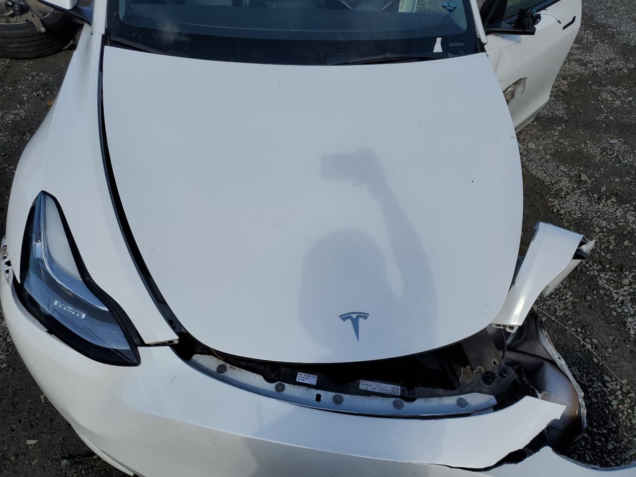 7SAYGDEE6NF408976 2022 Tesla Model Y