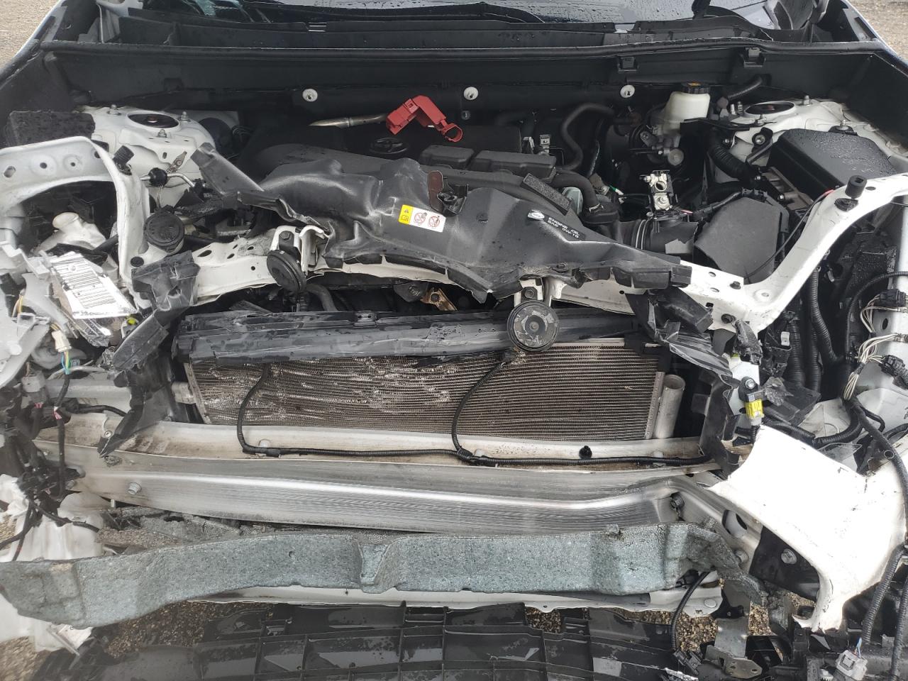 2T3W1RFV2MW136498 2021 Toyota Rav4 Xle