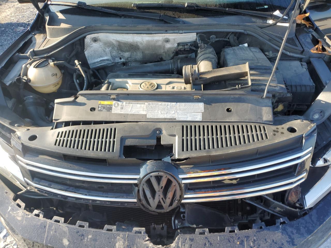 WVGBV7AX4GW576501 2016 Volkswagen Tiguan S