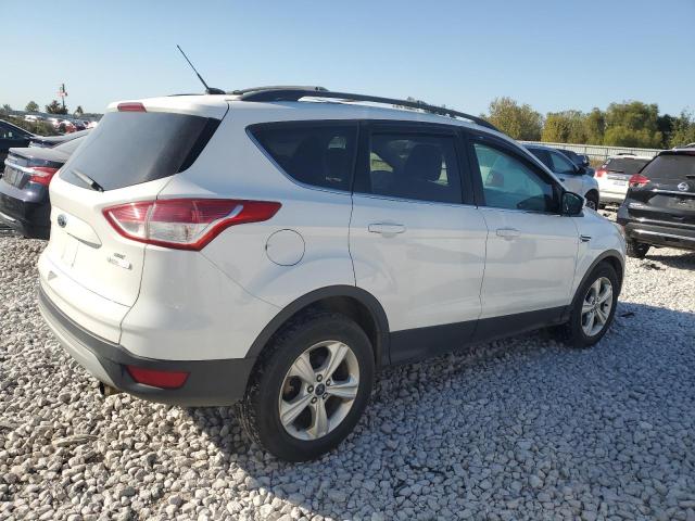 Паркетники FORD ESCAPE 2013 Белы