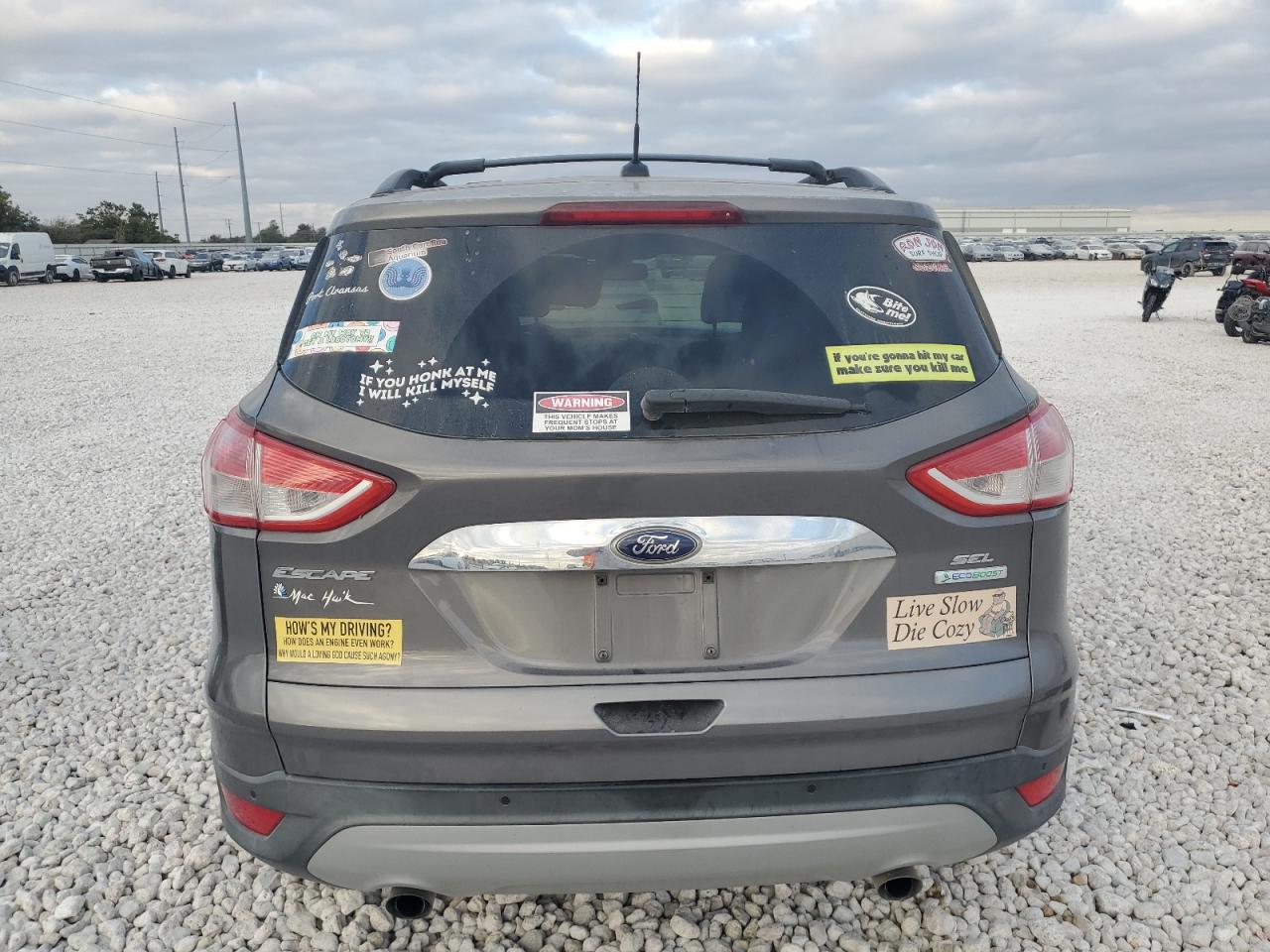 2013 Ford Escape Sel VIN: 1FMCU0HX2DUD39419 Lot: 77796104