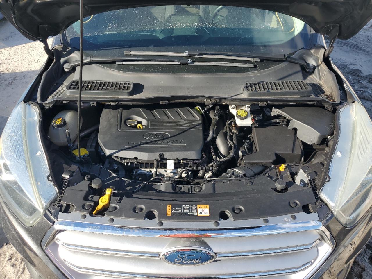 VIN 1FMCU0JD5HUB12862 2017 FORD ESCAPE no.12