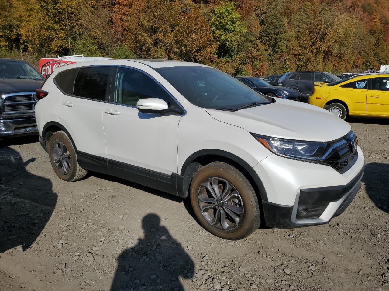 2022 Honda CR-V - Image 4